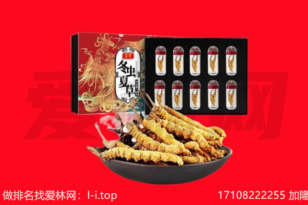 开化县回收虫草.jpg